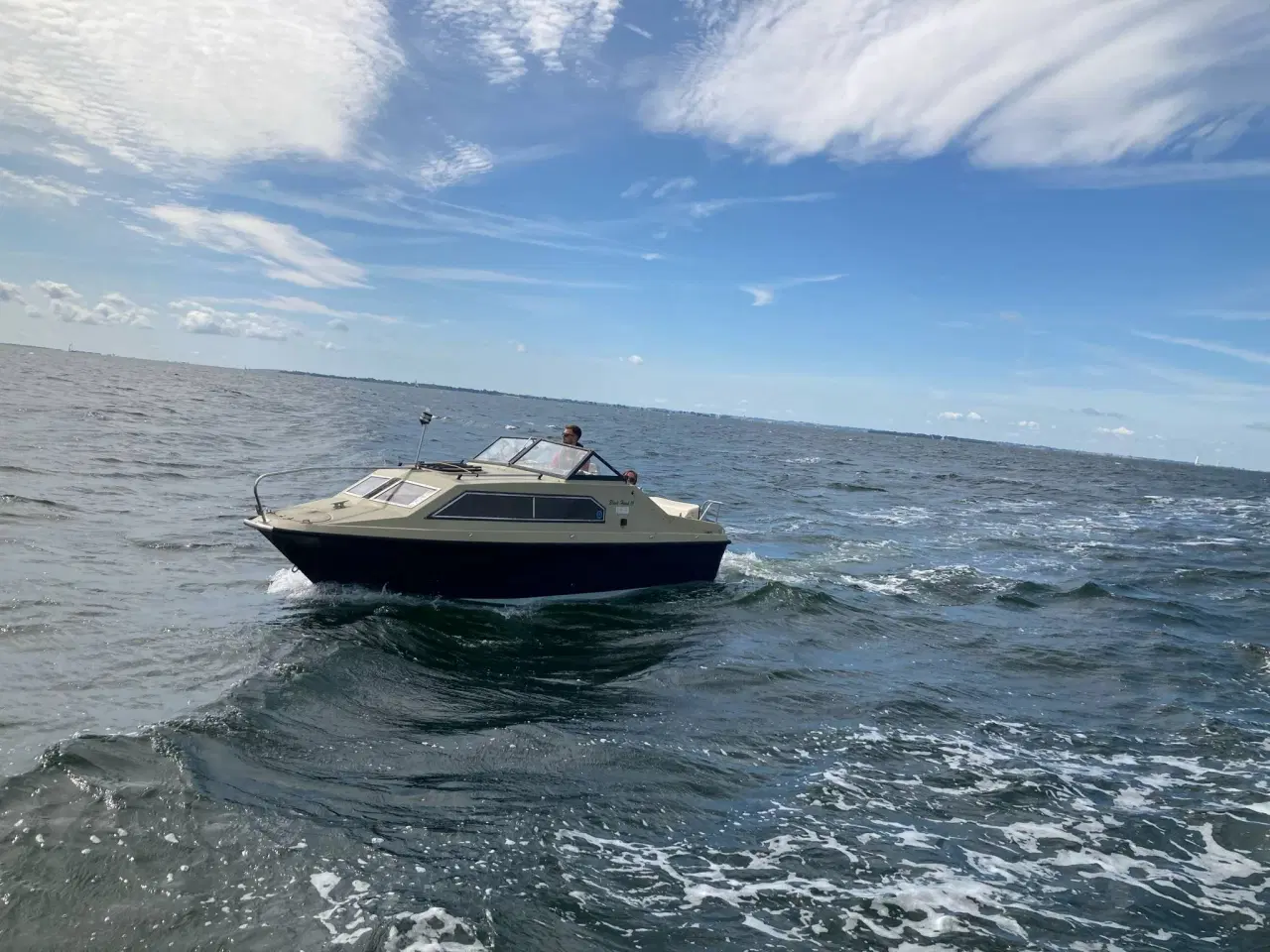 Billede 5 - Shetland black hawk 19
