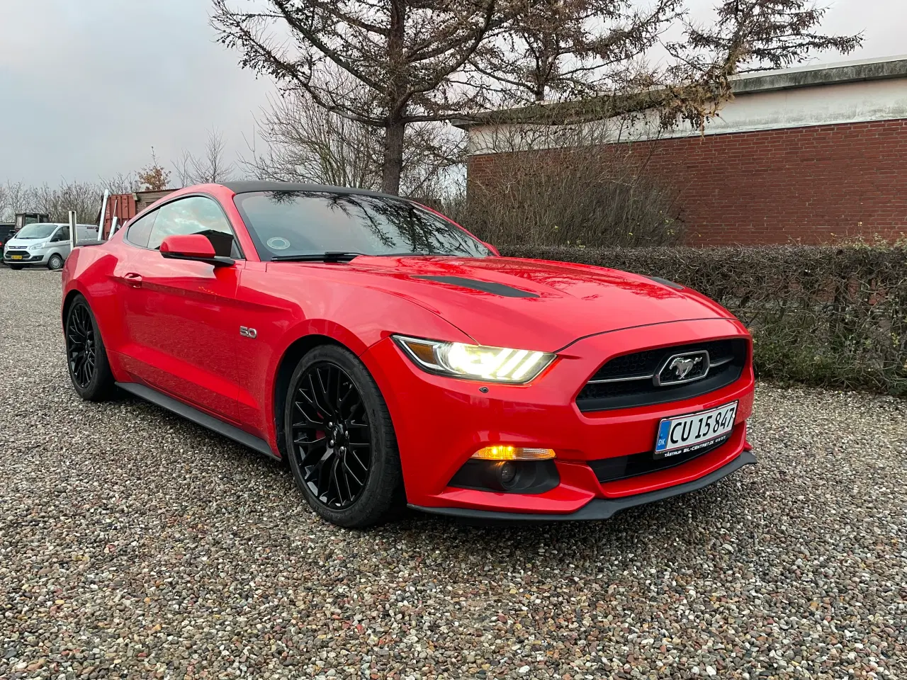 Billede 12 - Ford Mustang efterårs pris