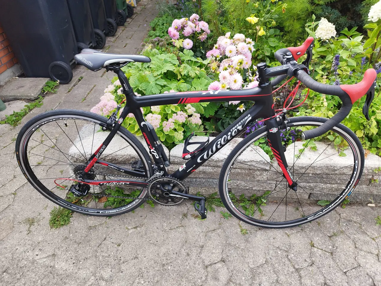 Billede 1 - Wilier Triestina race fuld carbon, campagnolo