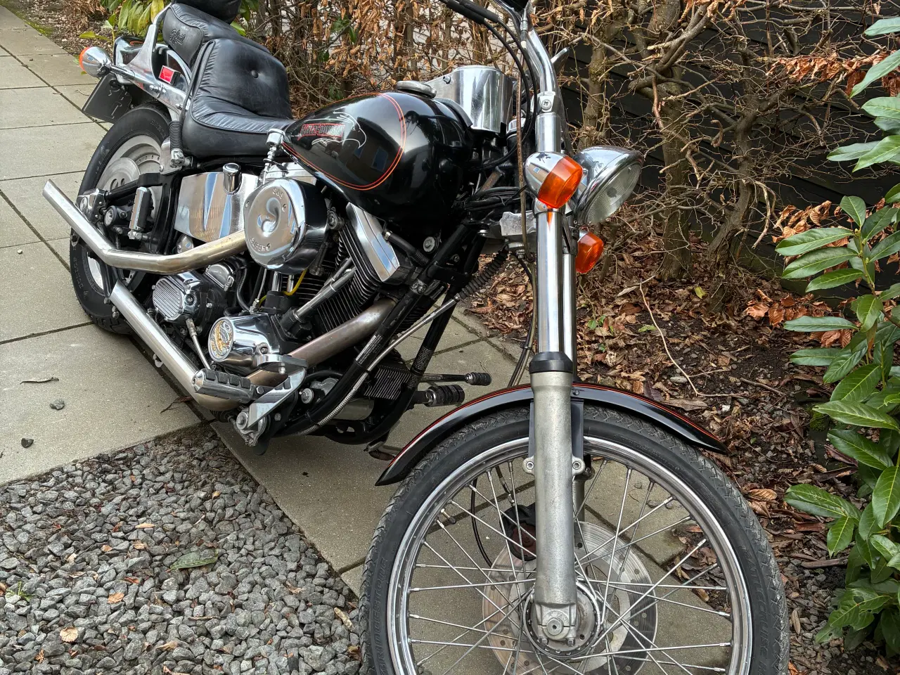 Billede 2 - Harley Davidson