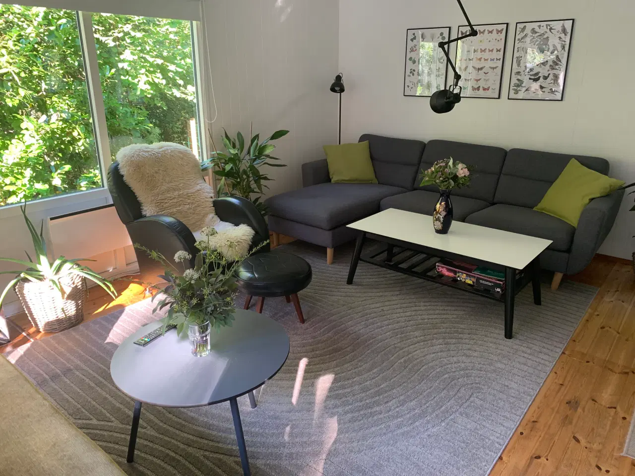 Billede 10 - Sommerhus til leje Fjellerup Strand