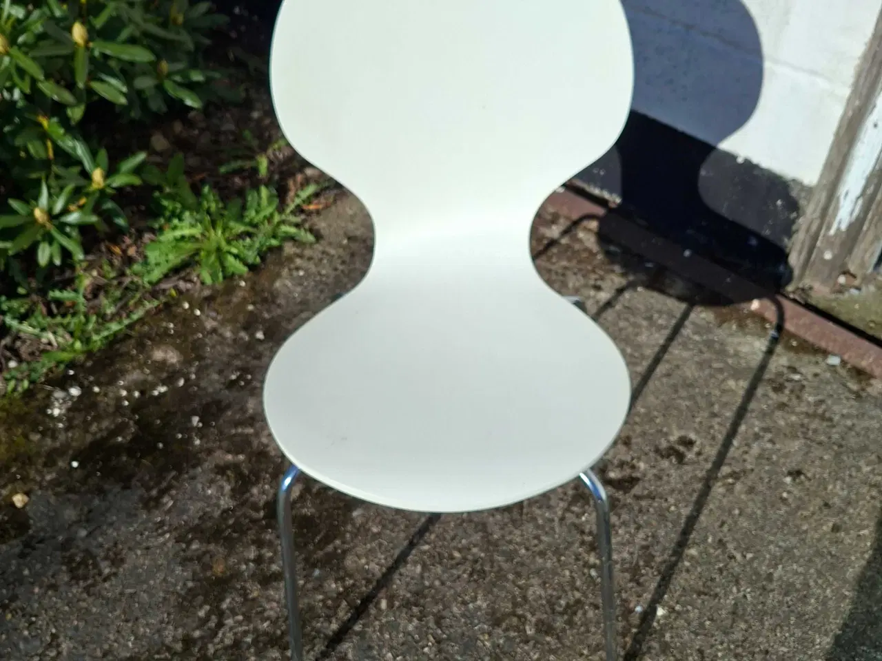 Billede 1 - Skalstole 8 stk