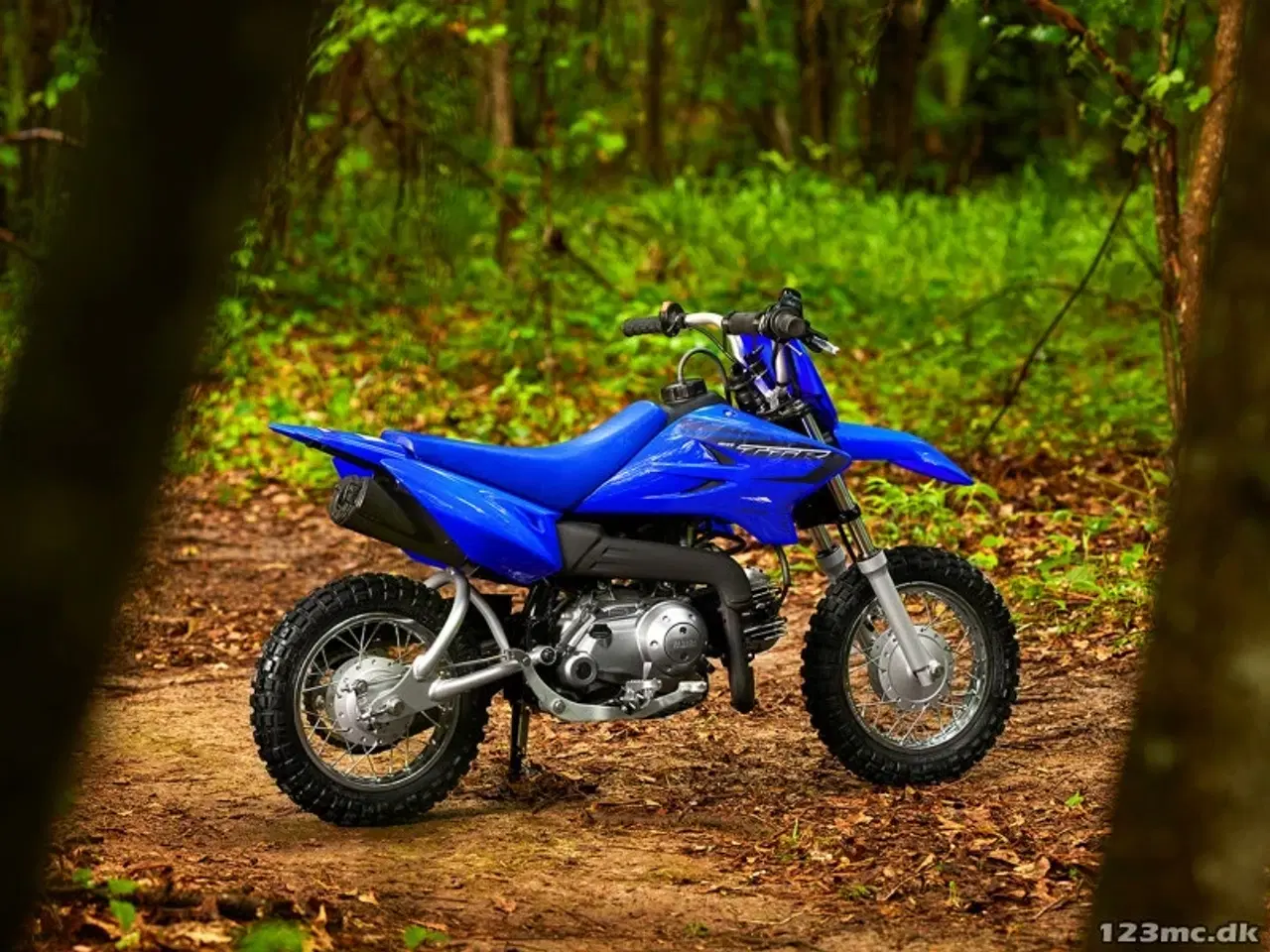 Billede 4 - Yamaha TT R50E