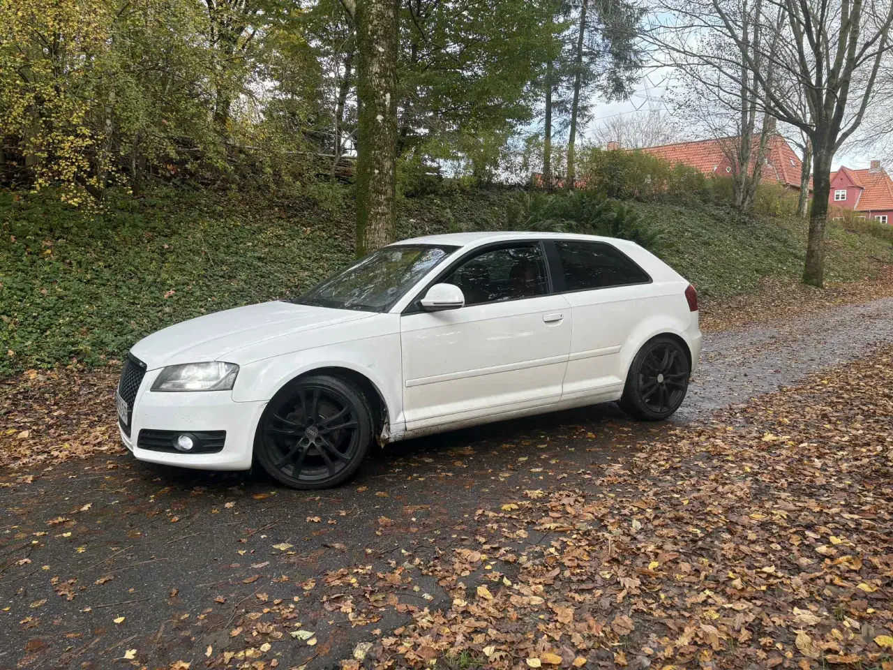 Billede 14 - Audi A3 8P Facelift ( Fuld Service bog )