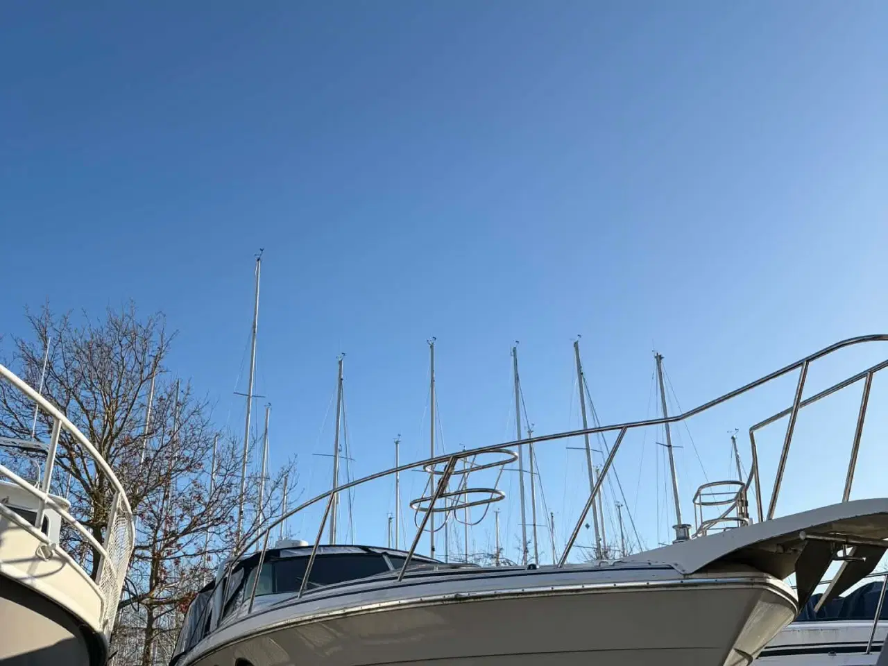 Billede 13 - Wellcraft 38 Grandsport