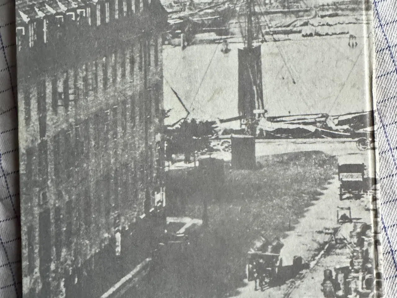 Billede 2 - Hundrede år på havene DFDS