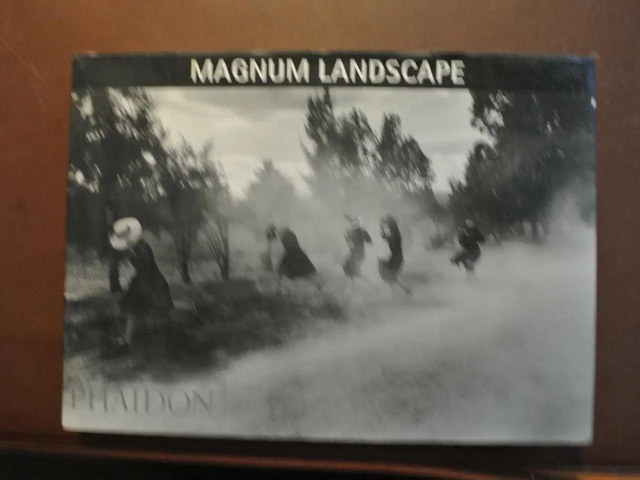 Billede 1 - magnum landscape, emne: kunst og kultur
