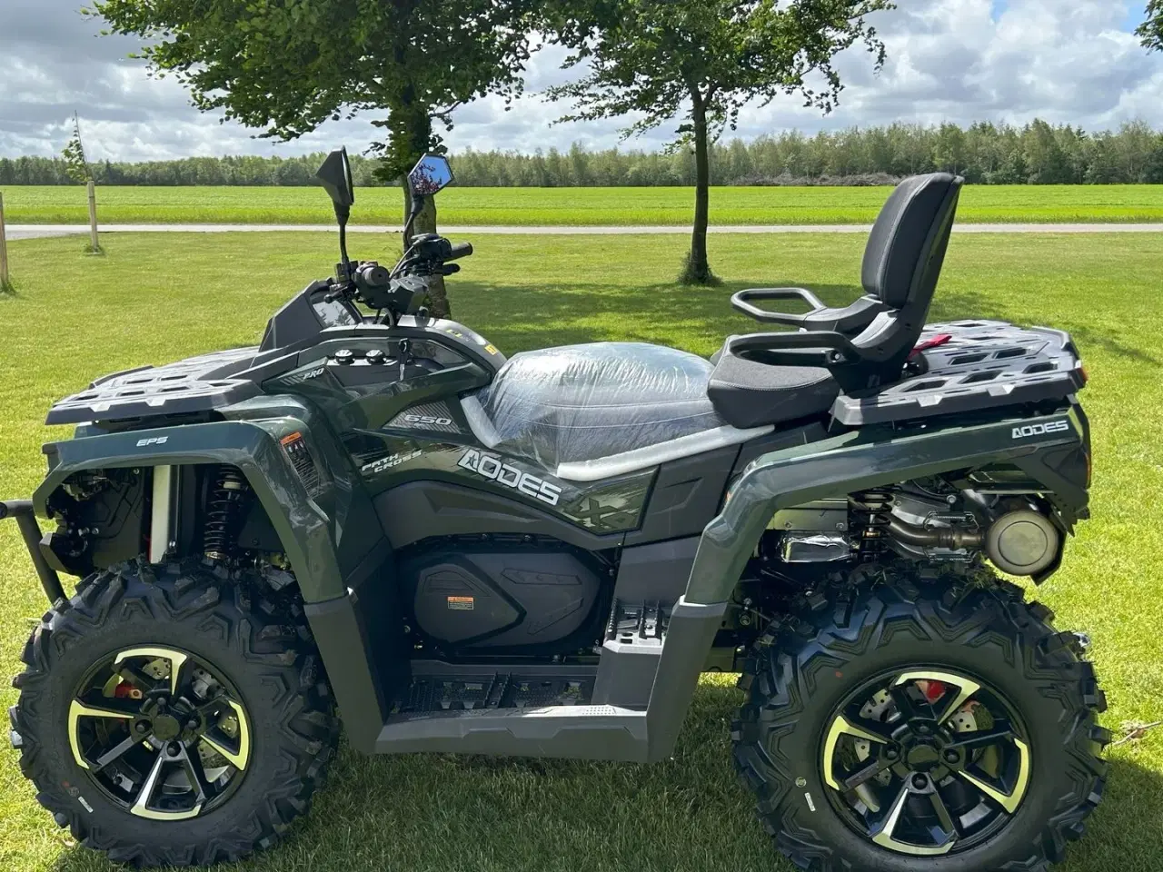 Billede 4 - AODES PATHCROSS 650 L (T3A)