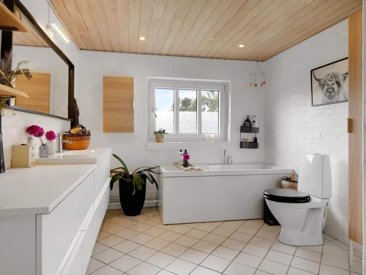 Billede 7 - Nedlagt landbrug 7 min fra Aalborg