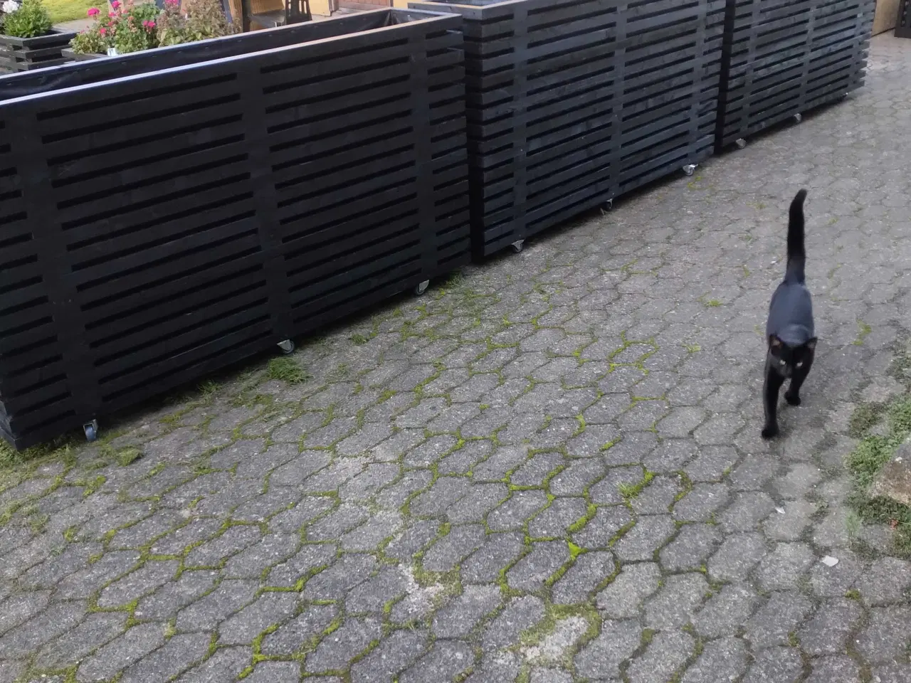 Billede 2 - Højbede på dine mål og behov.