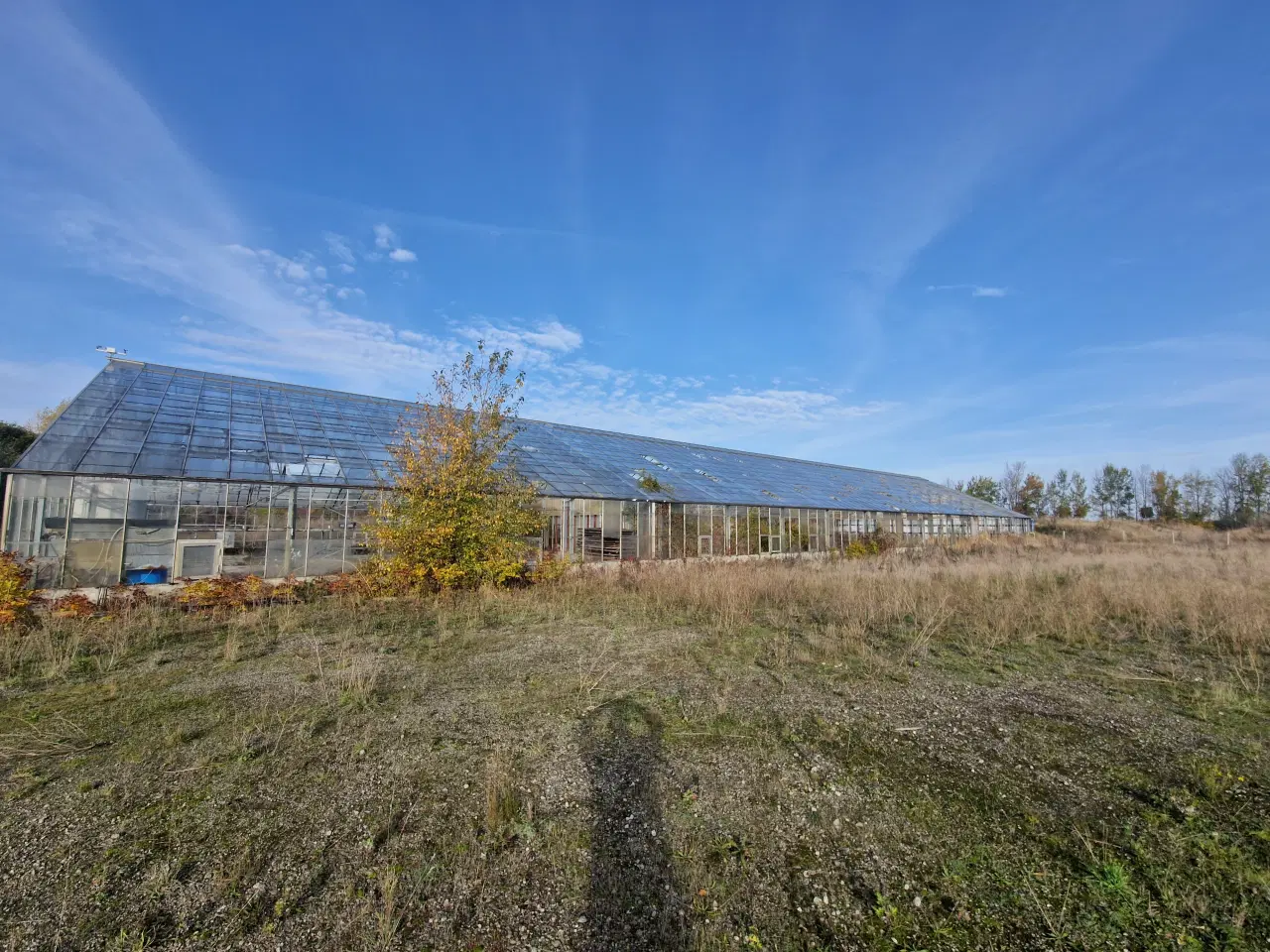 Billede 3 - Drivhus på 1000 m2