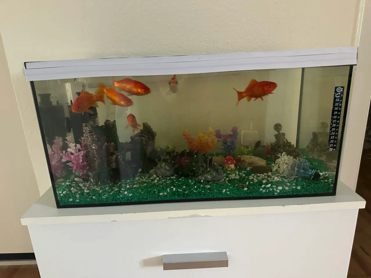 Billede 1 - Akvarie med fisk