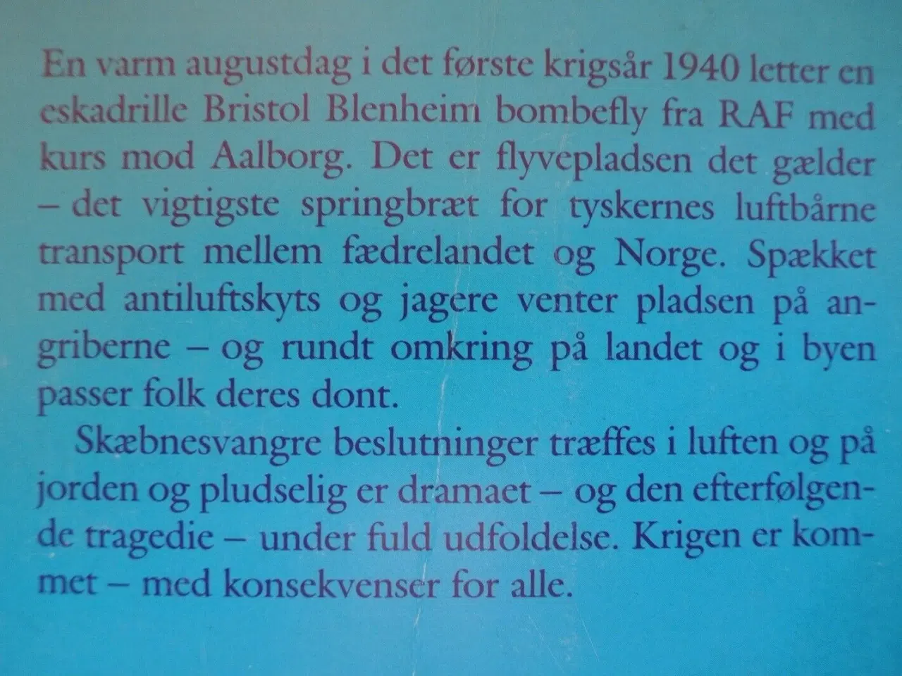 Billede 2 - tretten er ude - raf-katastrofen i aalborg, af ped