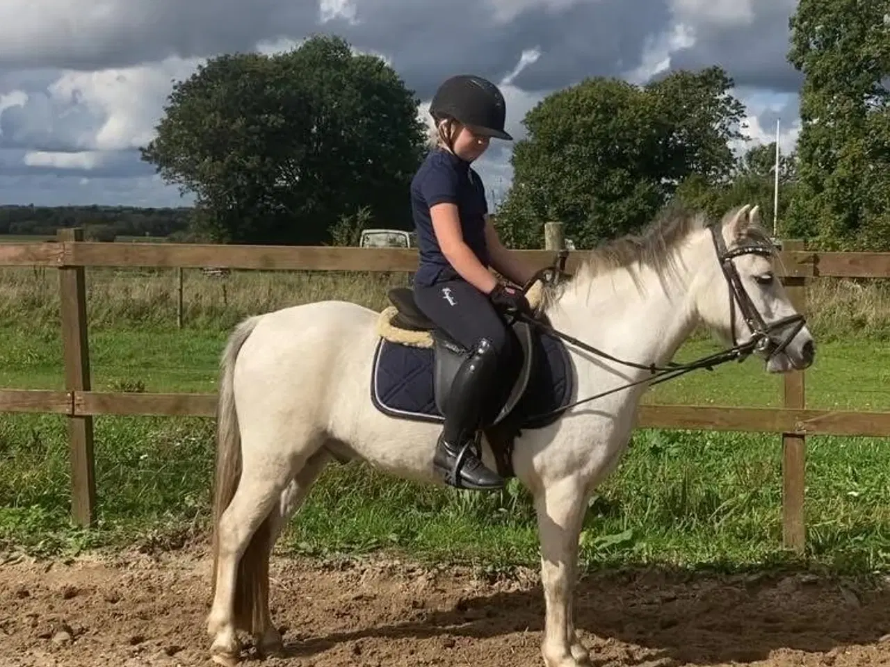 Billede 3 - Smart børnepony