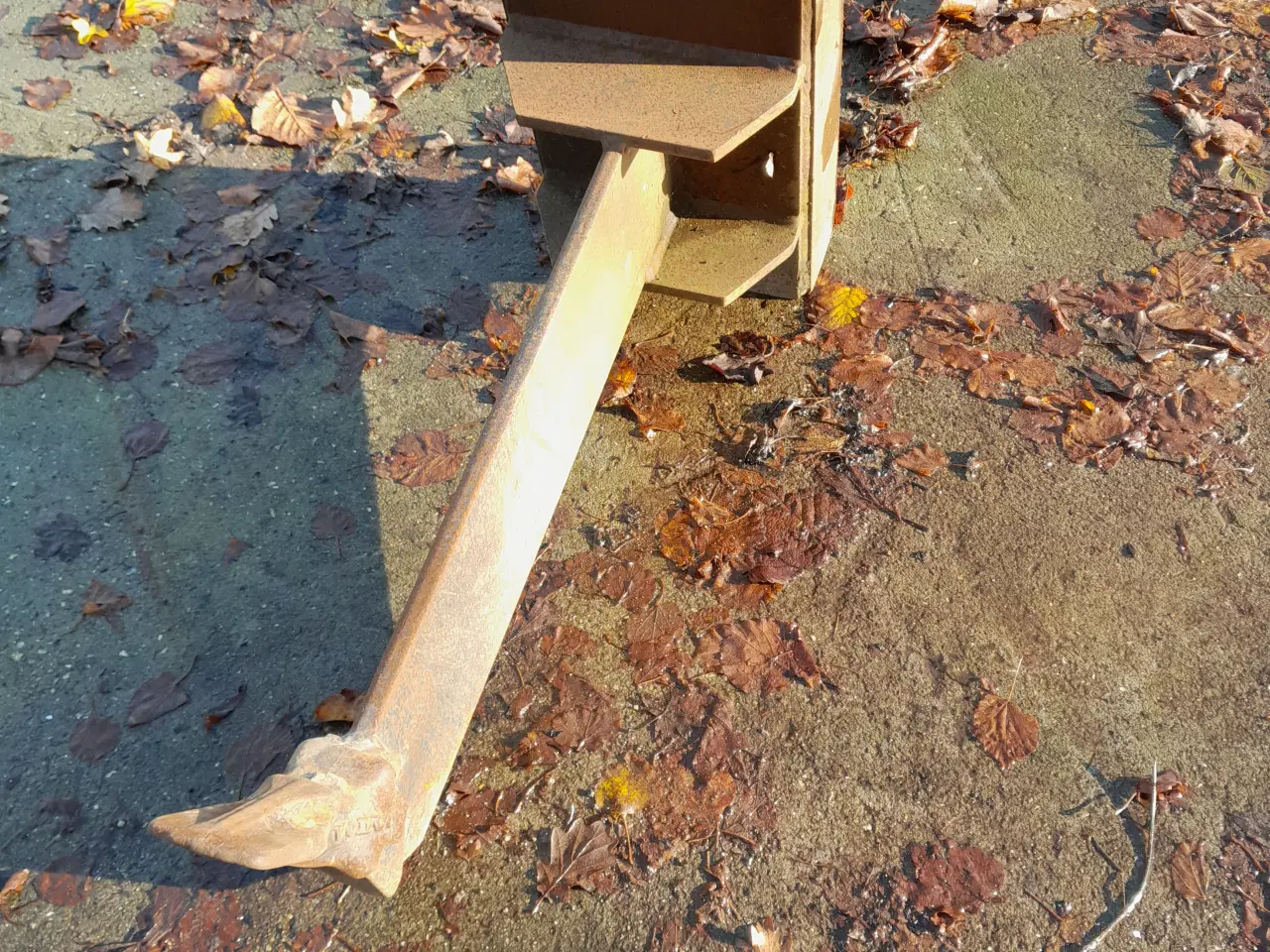 Billede 1 - grubbetand