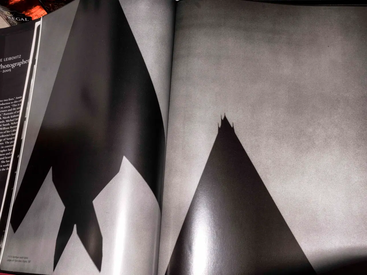 Billede 4 - Fotobog. Annie Leibovitz. " A Photographer's Life.