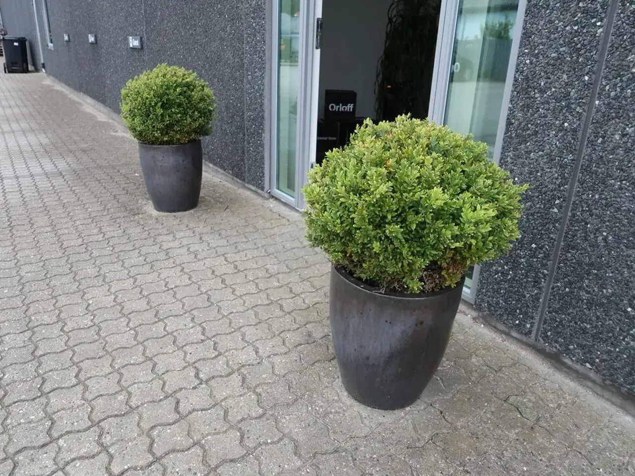 Billede 1 - 2 stk. Planter i krukker