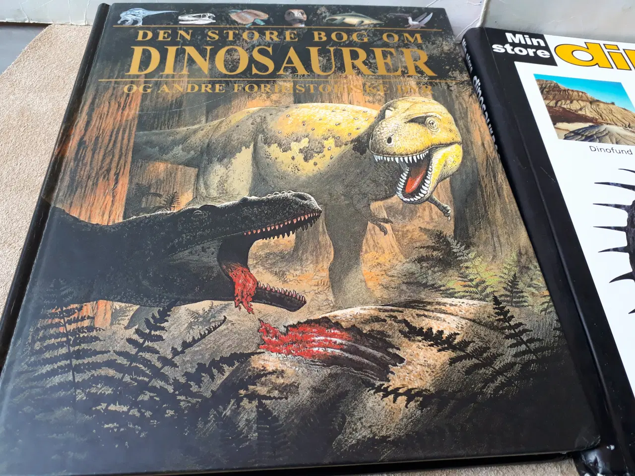 Billede 7 - 2 Dino Bøger, 6 Dinosaur