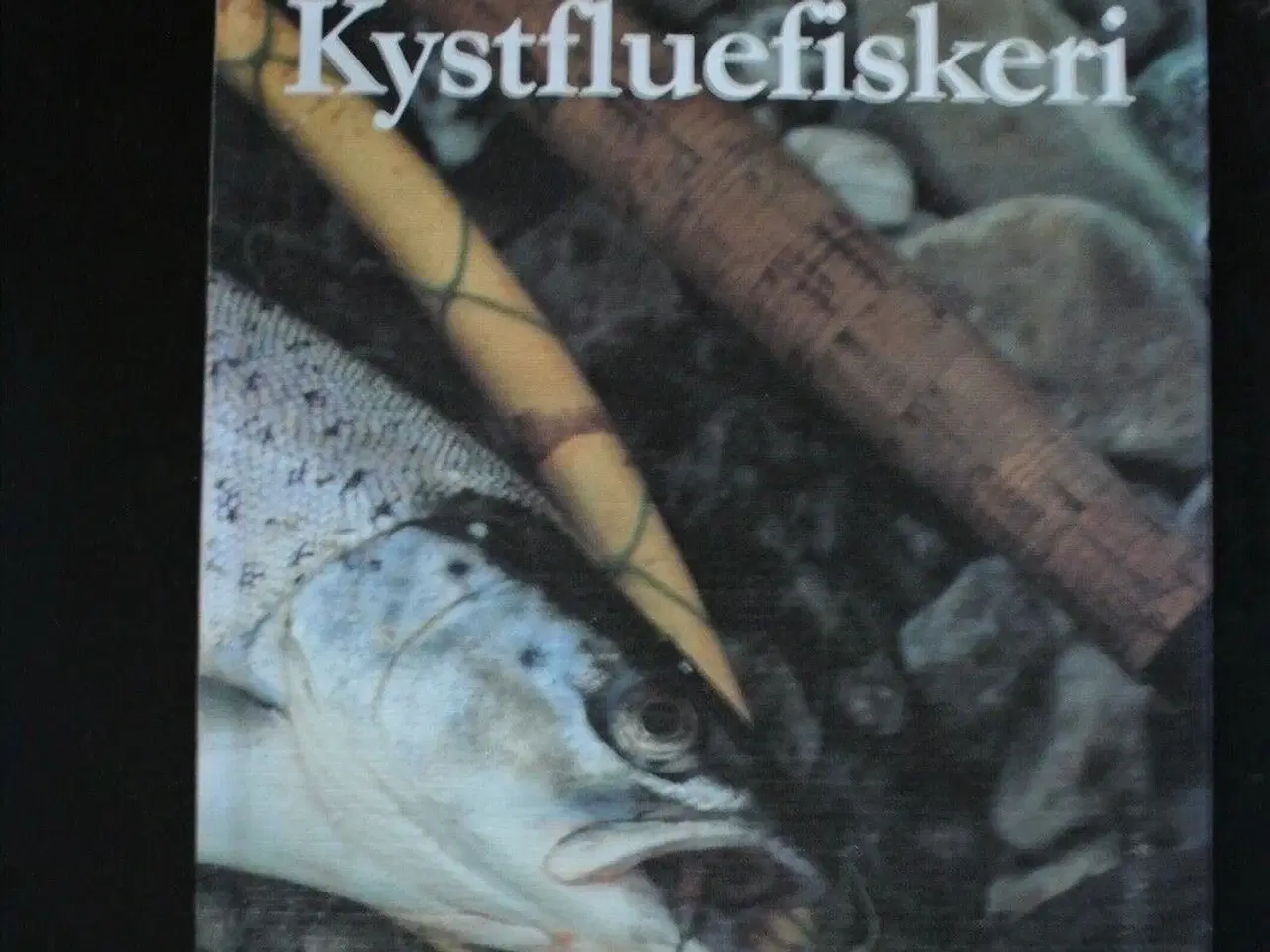 Billede 1 - kystfluefiskeri, af mogens espersen, emne: hobby o