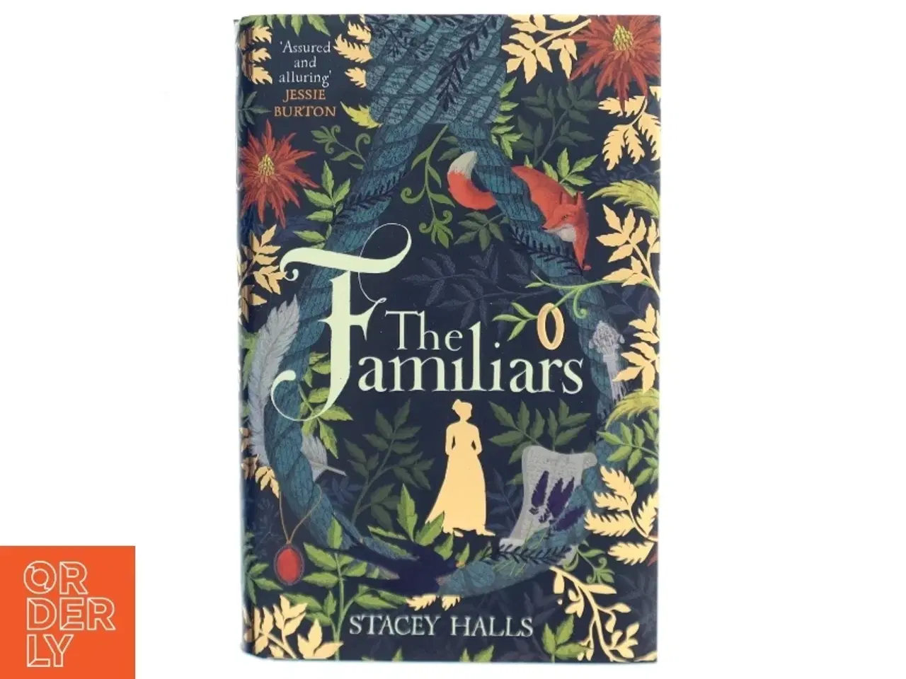 Billede 1 - The familiars af Stacey Halls (f. 1989) (Bog)