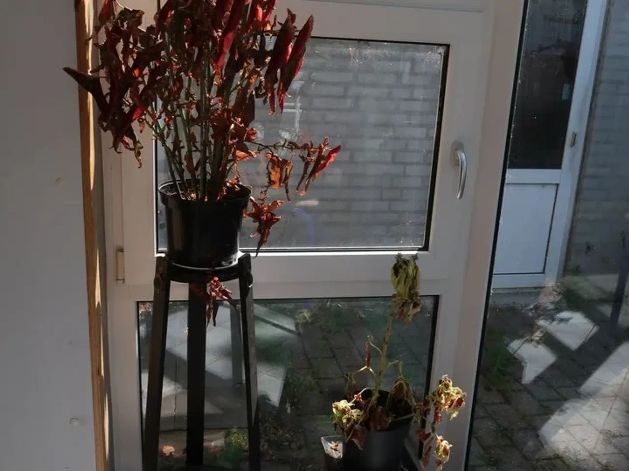 Billede 34 - Tøm køkken for indhold + tøm spisestue
