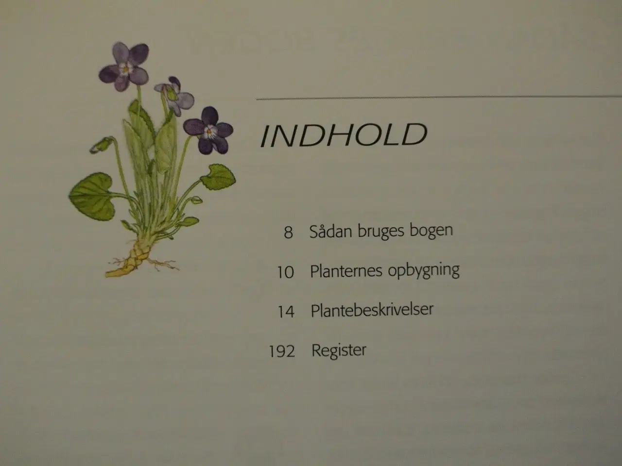 Billede 2 - gyldendals guide til danmarks flora, af dorte k. r