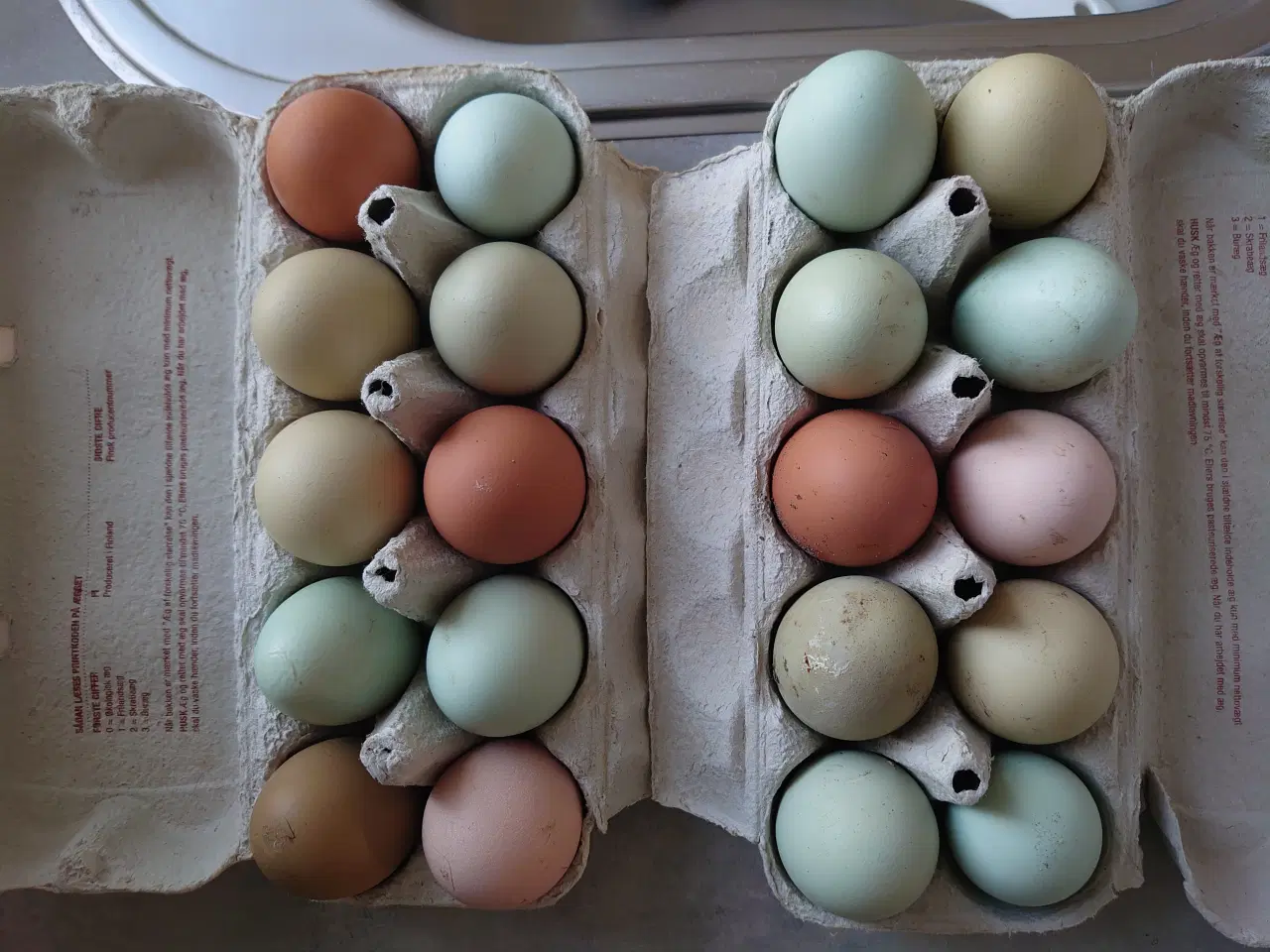 Billede 1 - Rugeæg høns og perlehøns