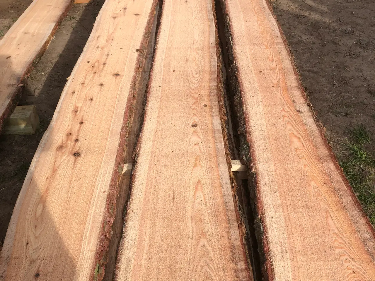 Billede 6 - Kalmarbrædder lærketræ