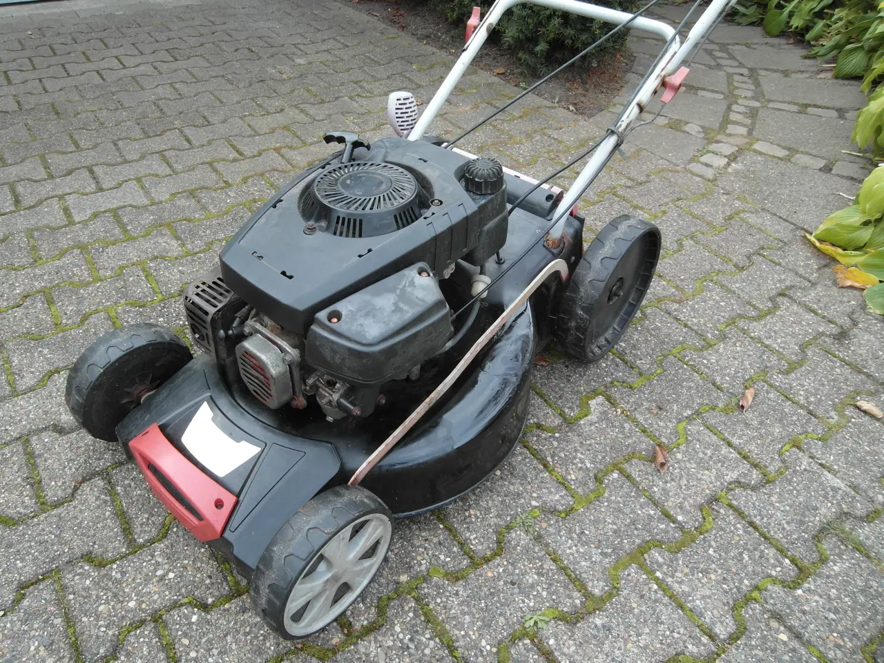 Billede 5 - Plæneklipper Al-ko