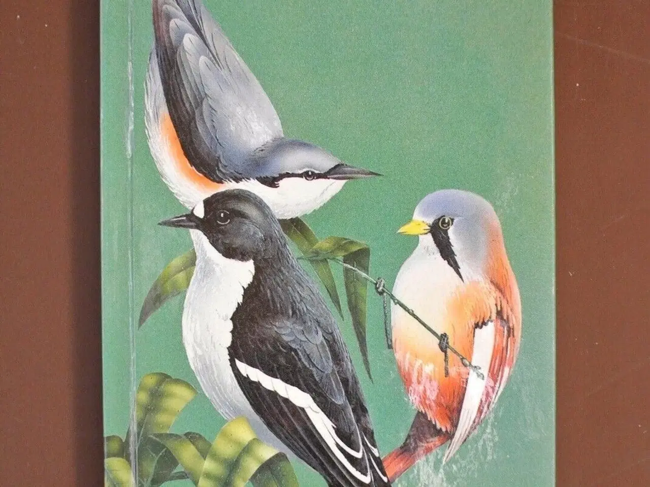 Billede 1 - a guide to birdwatching in hungary, by gerard gorm