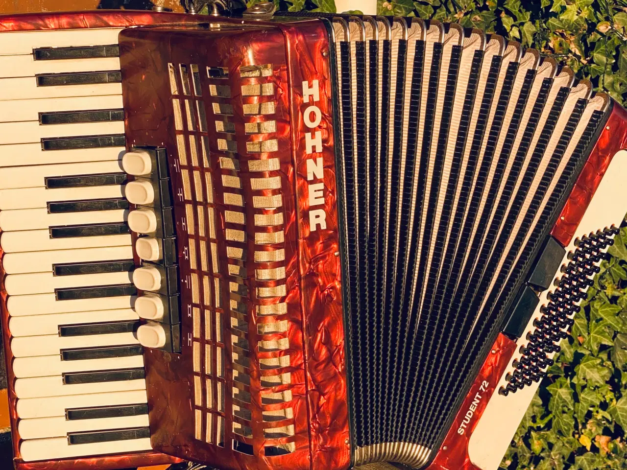 Billede 5 - Hohner Student 72 – solid og velspillende harmonik