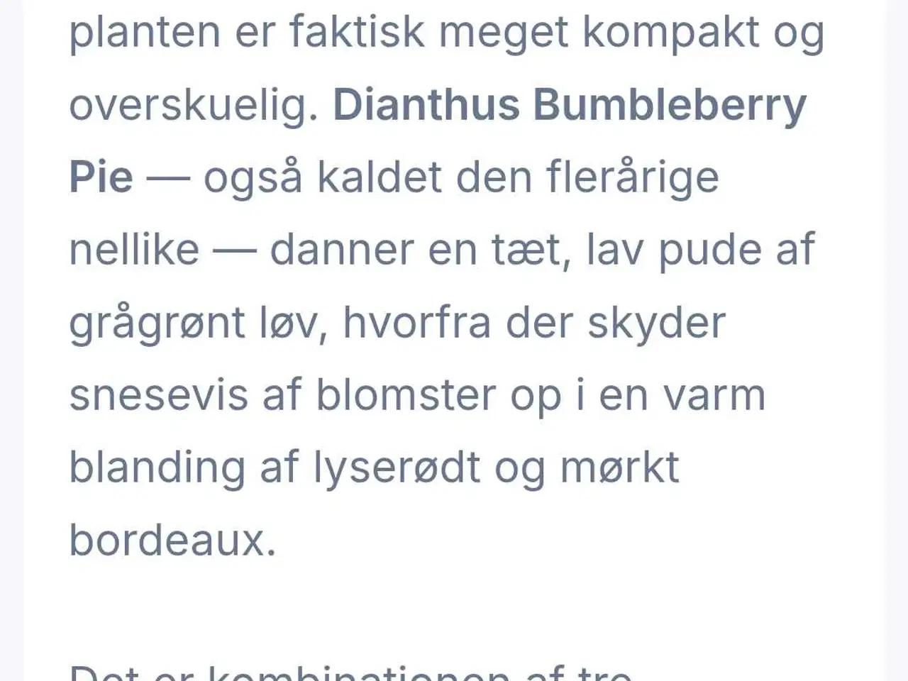 Billede 1 - Bürstner holyday