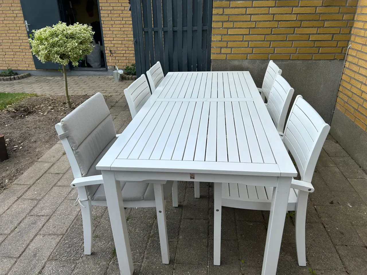 Billede 13 - Have spisebord inkl 6 stole og 6 hynder sælges 