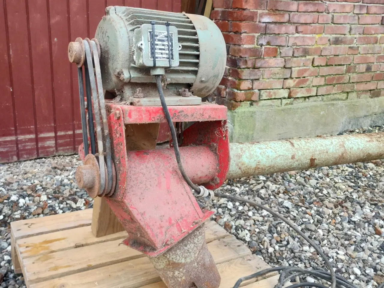 Billede 3 - Gedigen kornsnegl