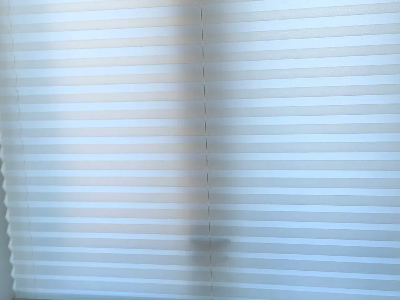 Billede 4 - Plisségardin fra Luxaflex