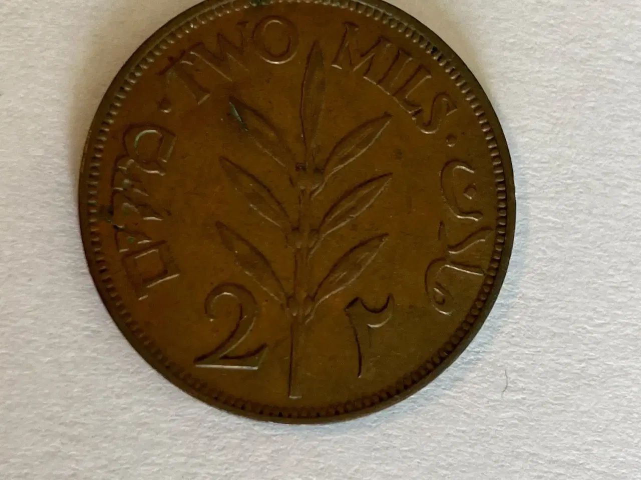 Billede 2 - 2 Mils Palestine 1941