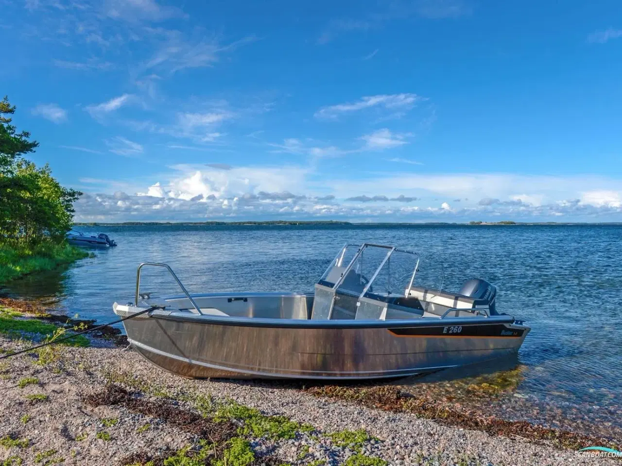 Billede 2 - Buster M