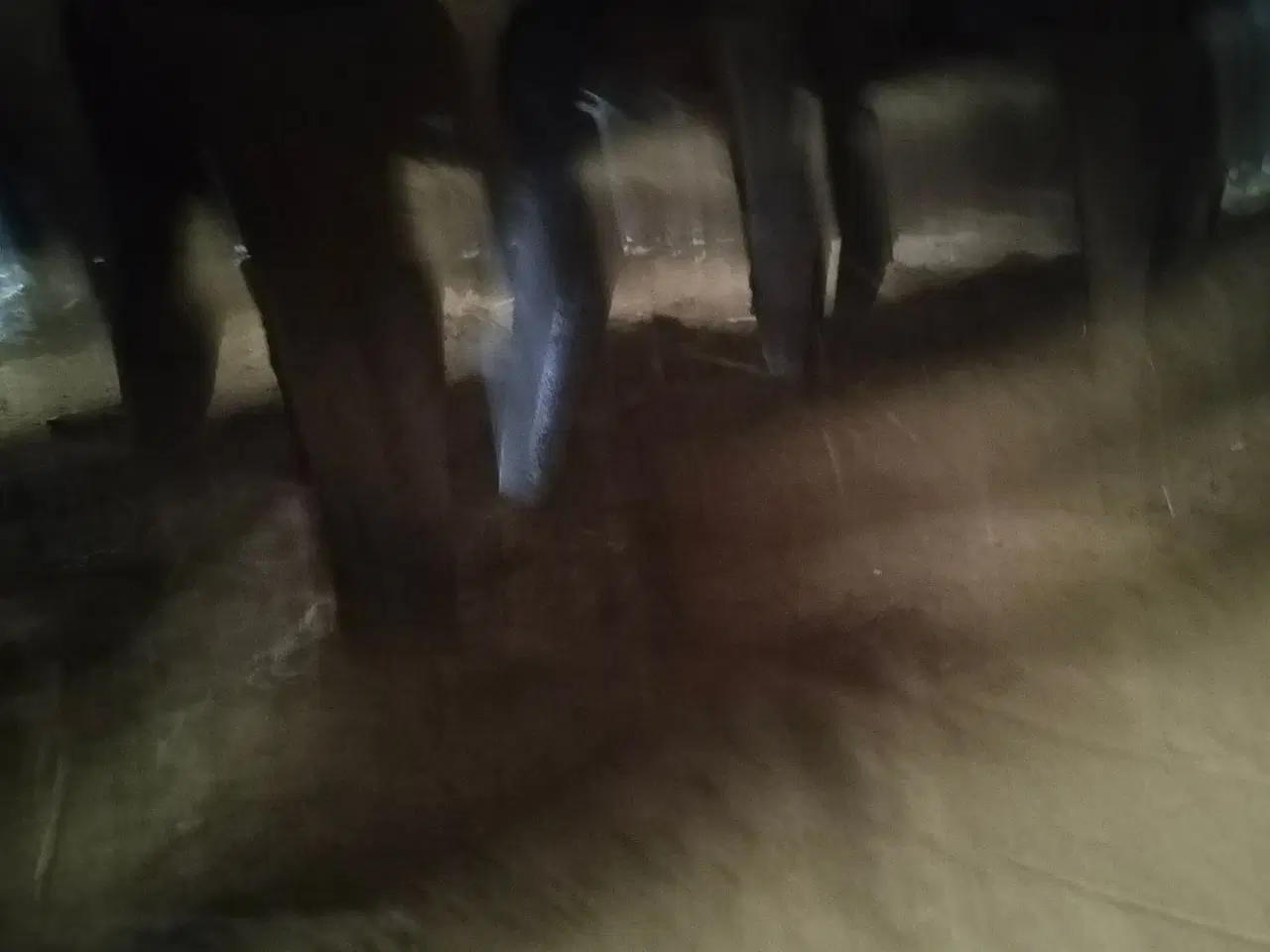 Billede 4 - Maschio Rotorharve 3 m med Nordsten NS 3030 såmaskine