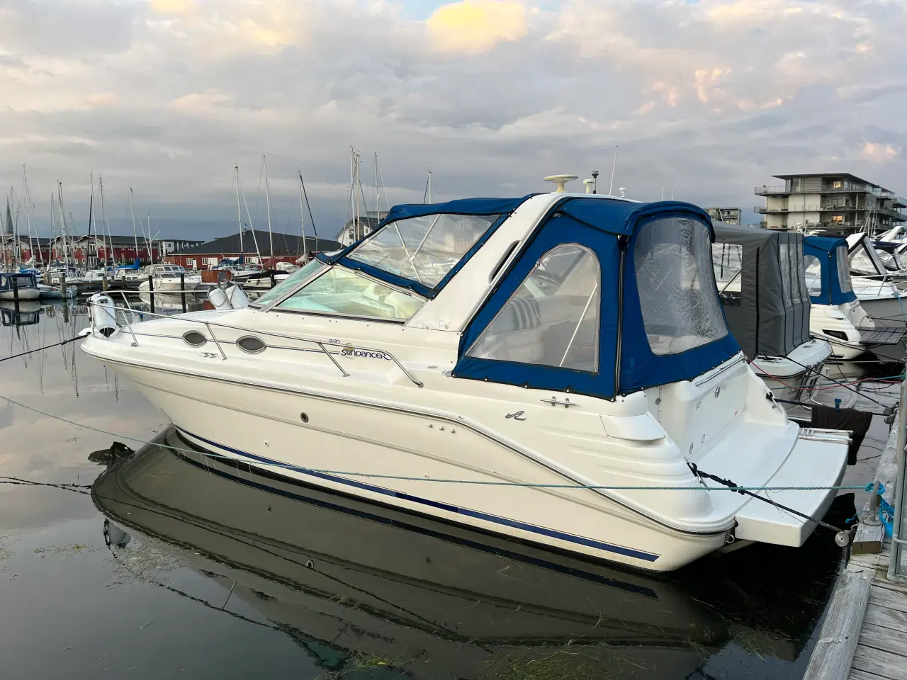 Billede 1 -  Searay 290 Sundancer (diesel) Searay 290 Sundance