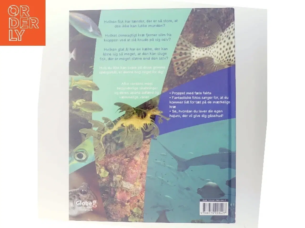 Billede 3 - Finurlige fisk af Lynn Huggins-Cooper (Bog)