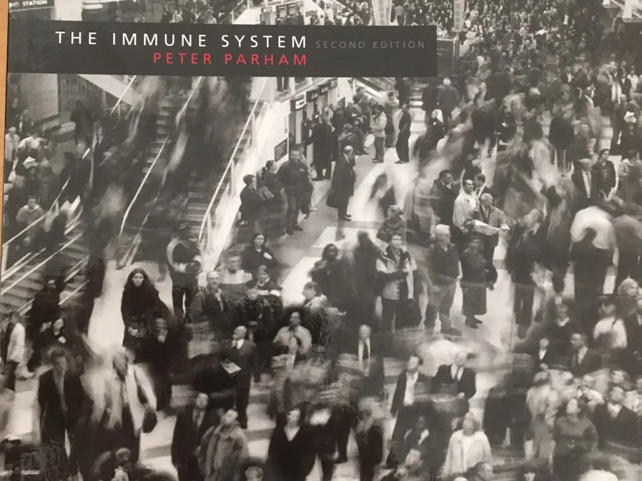 Billede 1 - The Immune System 