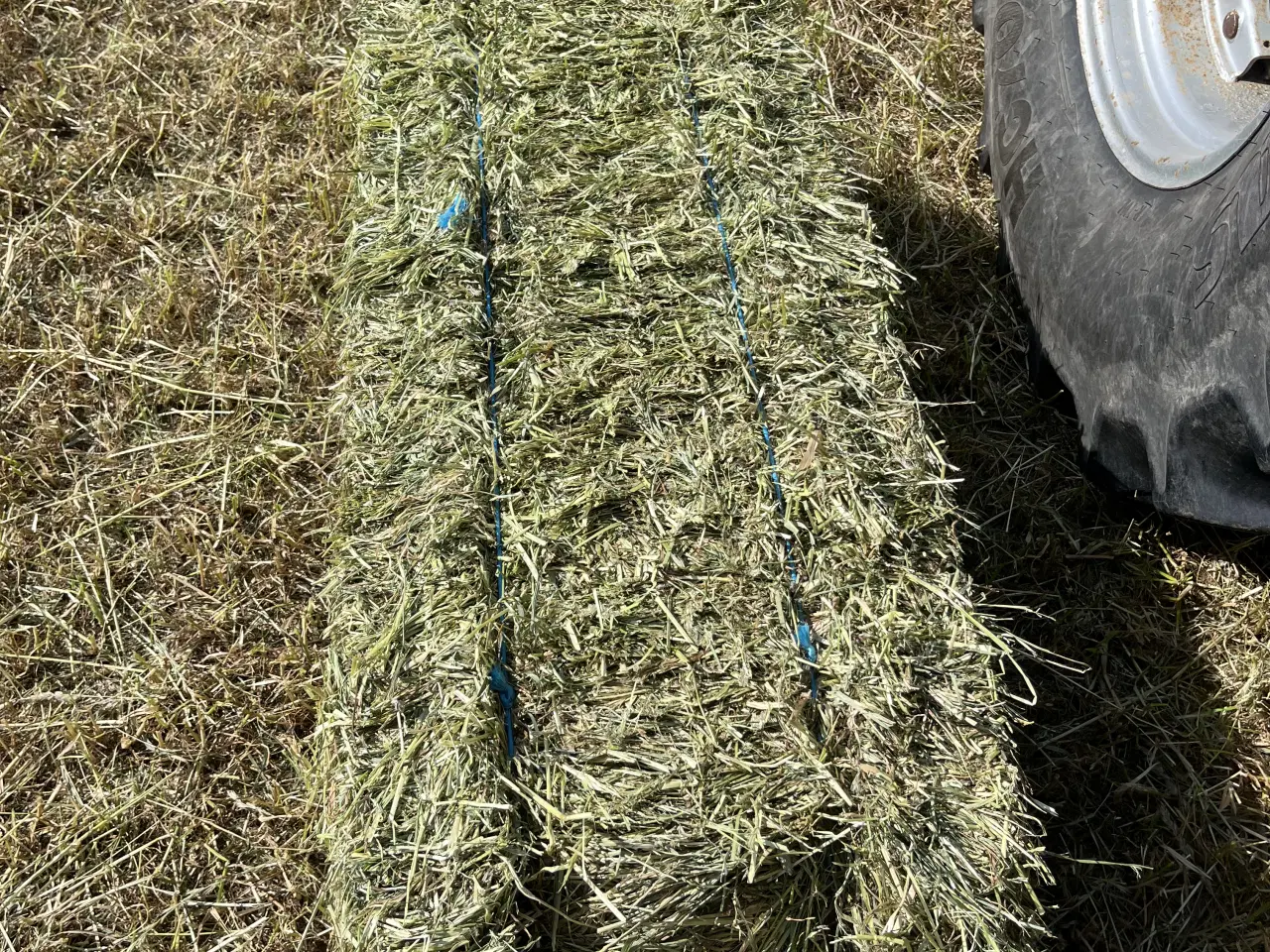 Billede 2 - Wrap i småballer 