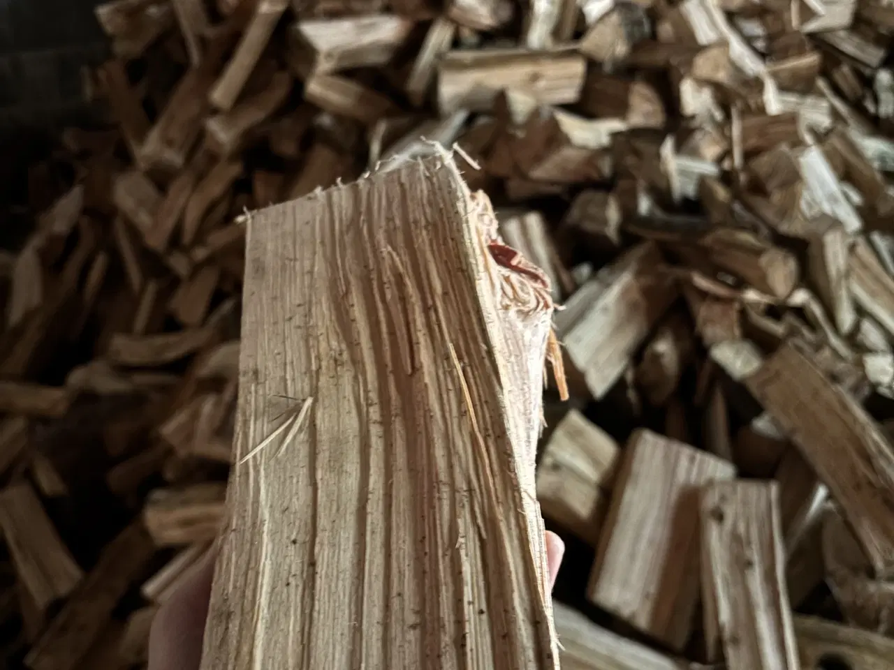 Billede 1 - 🪵Brænde🪵