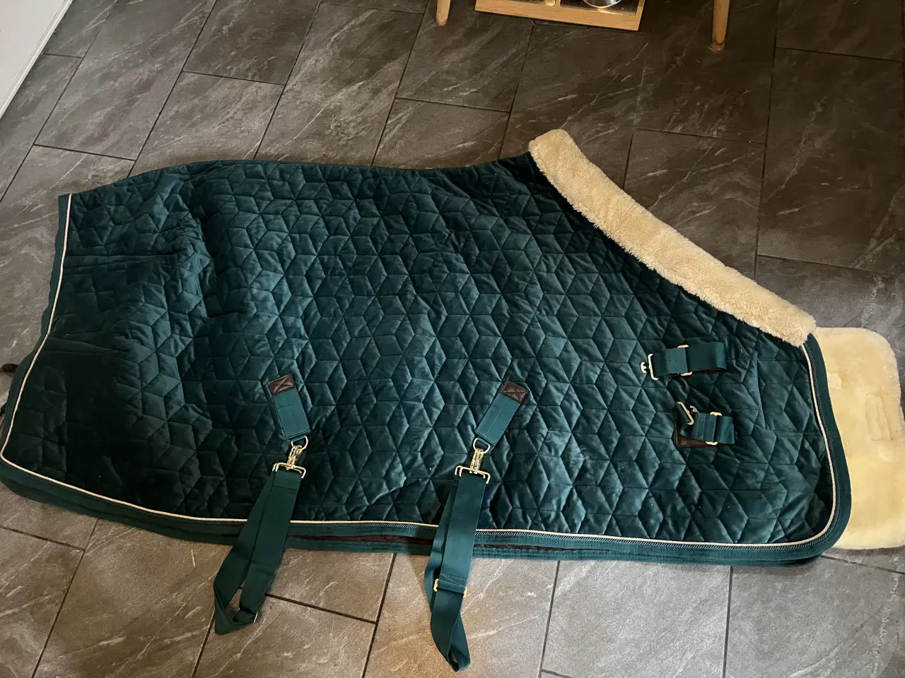 Billede 1 - Kentucky show dækken. 