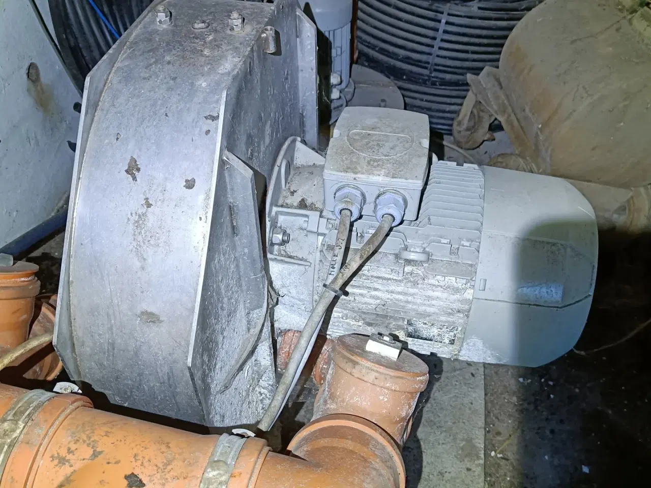 Billede 2 - - - - til majs