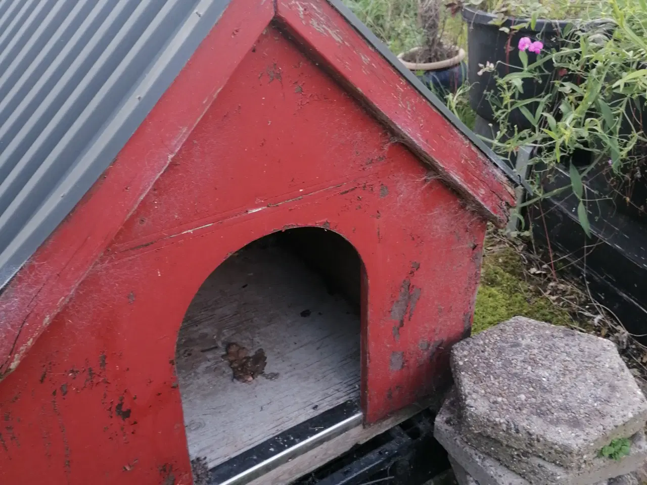 Billede 2 - Hund hus