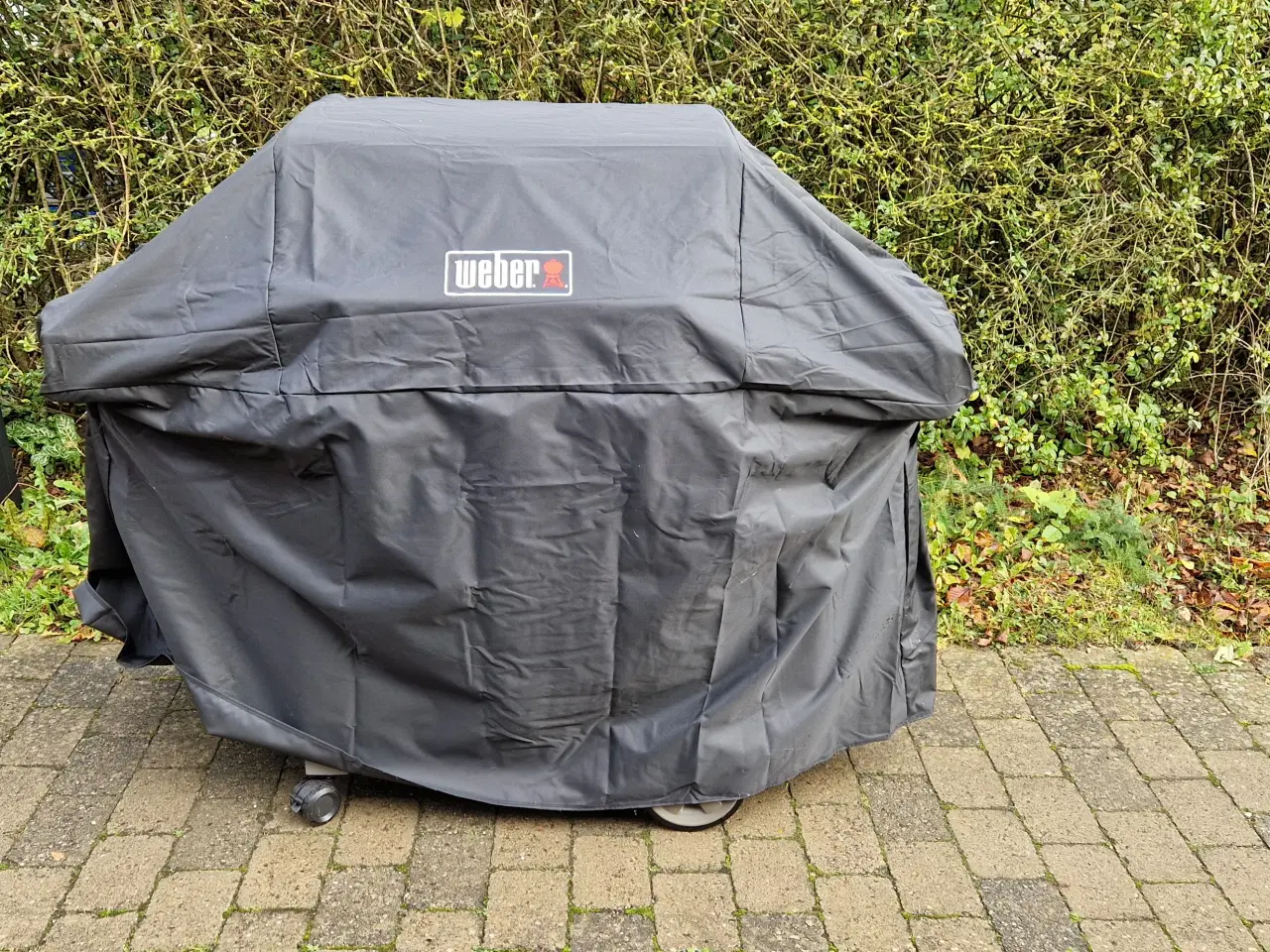 Billede 2 - Weber Genesis II E-310 GBS