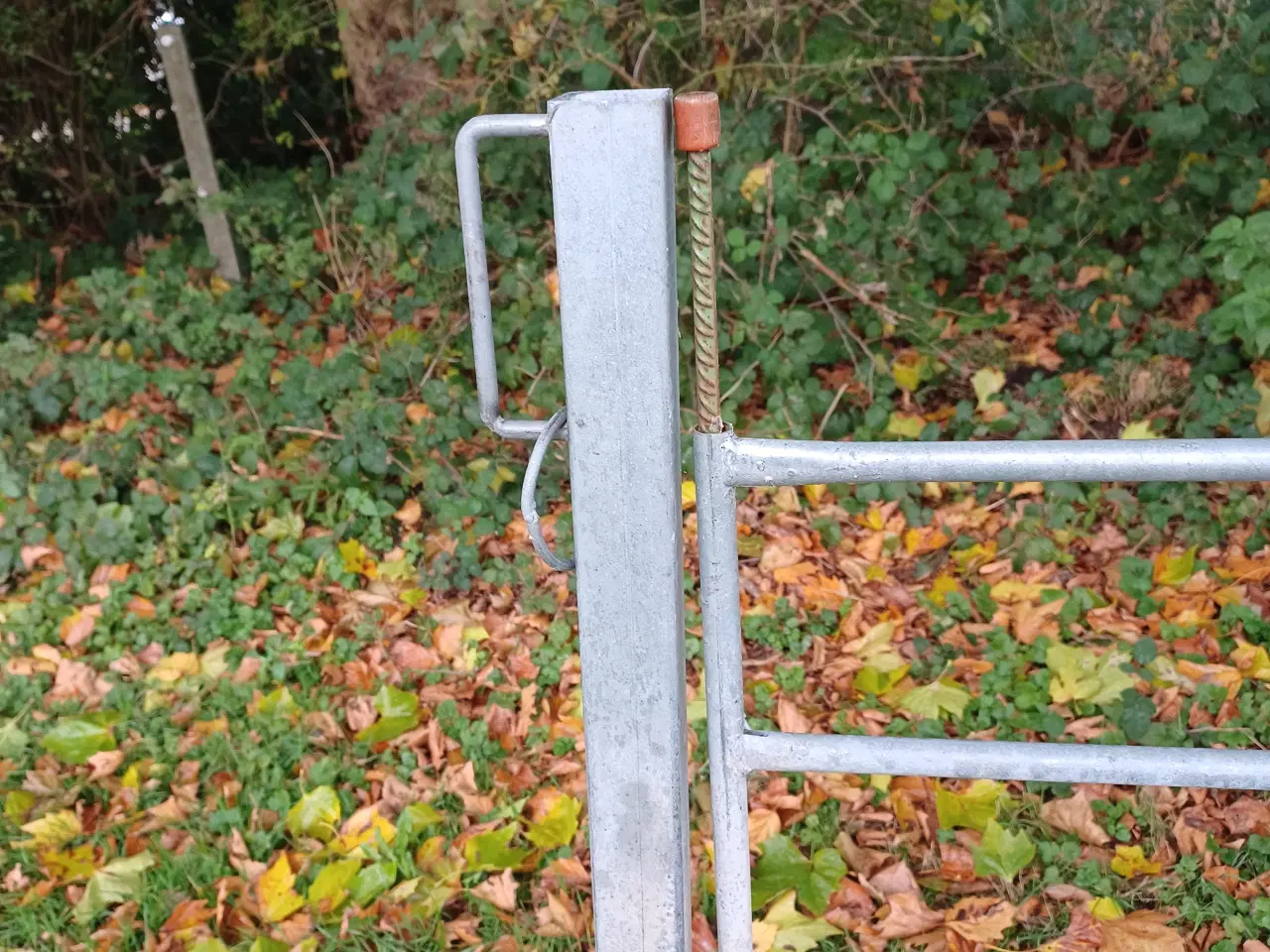 Billede 2 - Fårelåge med dør til person- eller dyregennemgang