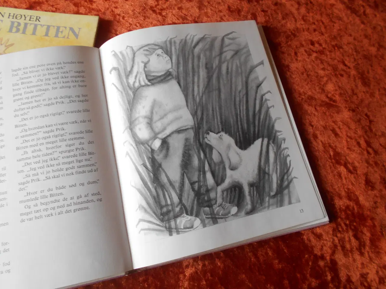 Billede 6 - Lille Bitten, Jon Høyer,