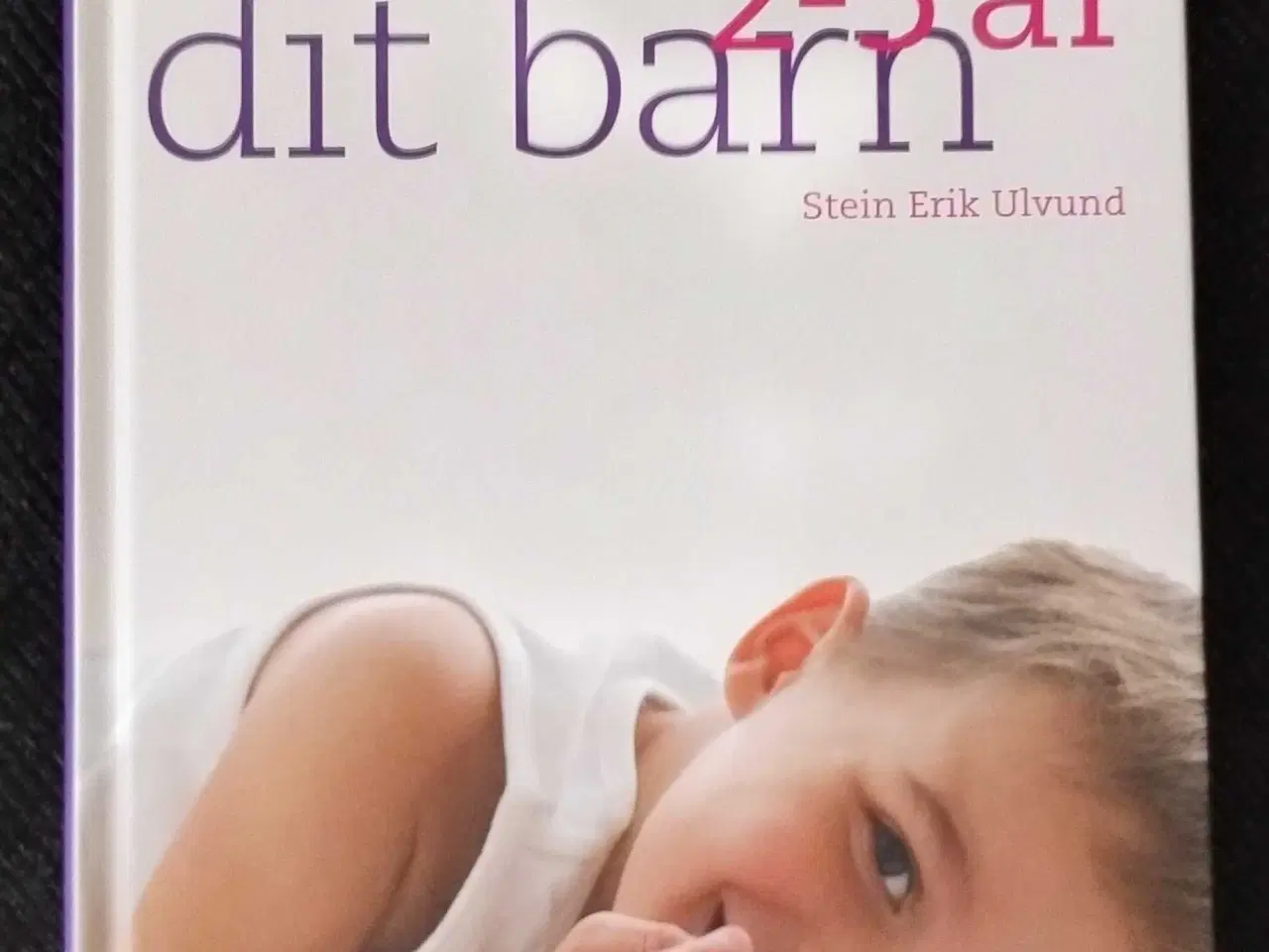 Billede 1 - Forstå dit barn 2-5 år